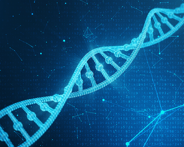 How to Reconstitute Peptides Safely